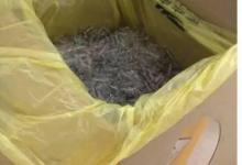 杭州17歲高三女生為備戰高考天天服避孕藥