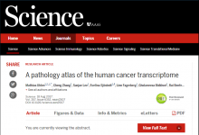 全球首份癌癥病例圖譜發(fā)布 分析了8000種腫瘤樣本