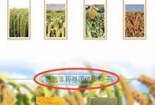 市面上尚無(wú)轉(zhuǎn)基因小米 崔永元網(wǎng)店想賣(mài)