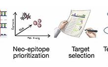 癌癥疫苗曙光初現：腫瘤突變基因制成疫苗，喚醒體內抗癌大軍