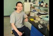 韓春雨NgAgo論文被自然子刊撤稿追蹤：主動申請撤回