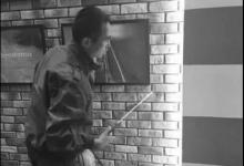 男子就餐時10多只蟑螂從托盤爬出 涉事飯店停業