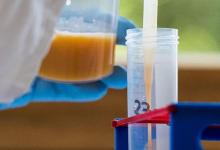 比利時將徹查“毒雞蛋”事件，食品安全局曾發現問題知情不報