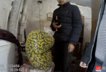 利潤超販毒！農村黑作坊生產假減肥藥，銷往20余省