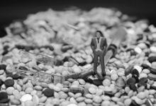 振東制藥旗下兩款注射液現(xiàn)不良反應(yīng) 遭下令召回