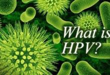 諾貝爾生理學或醫學獎風向標：HPV疫苗研究進展！