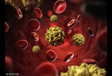 巴西爆發黃熱病病毒 民眾排數小時長隊打疫苗