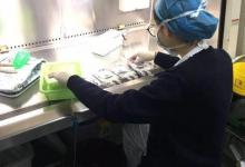 心疼！90后小護(hù)士手上在配藥、腳上在輸液…