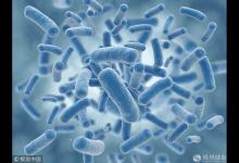 《流感下的北京中年》刷屏 中日醫(yī)院呼吸專家教你更懂流感！