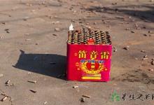 買煙花爆竹實名制 燃放煙花爆竹的注意事項