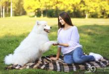 汪星人和喵星人，哪個更懂主人的情緒？