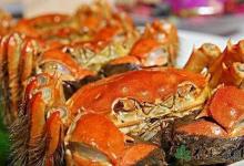 吃貨搶走11斤螃蟹 吃螃蟹的好處有哪些
