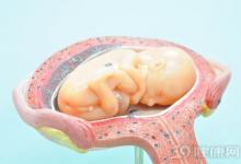 科學(xué)家稱(chēng)PM2.5可到達(dá)子宮！準(zhǔn)媽媽你怕了嗎？