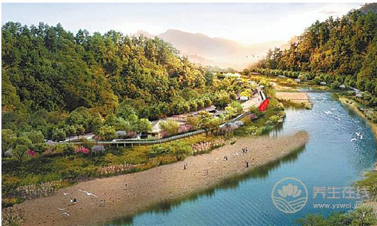 中藥文化開啟一段岐黃養生—“百草臨岐”之旅