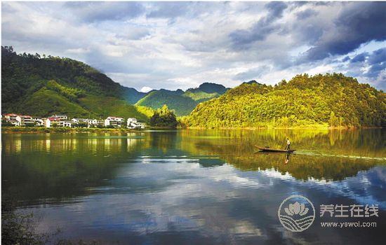 中藥文化開啟一段岐黃養生—“百草臨岐”之旅