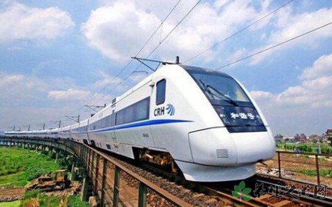 加州不還高鐵撥款 坐高鐵的注意事項有哪些