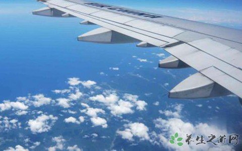 川航返航空中盤(pán)旋 乘坐飛機(jī)的注意事項(xiàng) 川航返航空中盤(pán)旋 乘坐飛機(jī)的注意事項(xiàng)