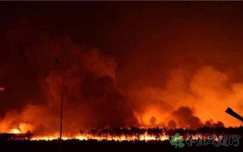 埃及火車站爆炸 爆炸傷后如何護理