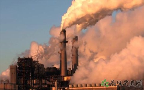 俄羅斯綠色雪 空氣污染會(huì)引起哪些疾病