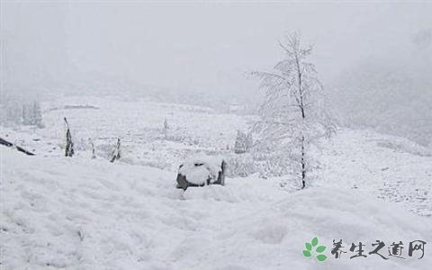 玉樹雪災啟動救災 大雪天氣的安全注意事項