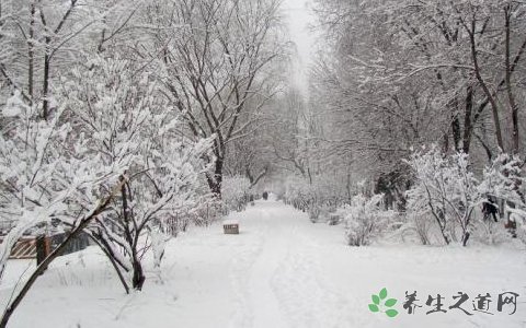 玉樹雪災啟動救災 大雪天氣的安全注意事項