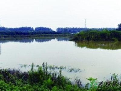 南京溧水地震 發生地震該怎么辦