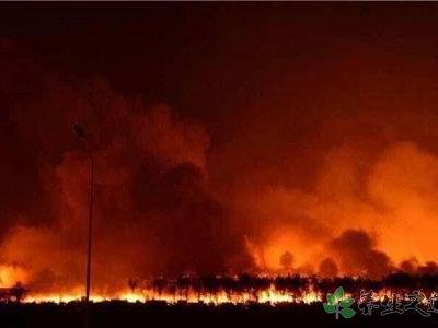 埃及火車(chē)站爆炸 爆炸傷后如何護(hù)理