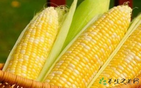 吃聰明藥等于吸毒 補腦吃什么食物