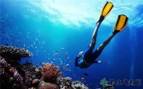 潛水員被鯨魚吞入 潛水安全注意事項