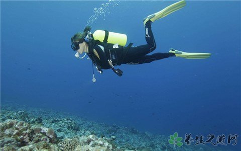 潛水員被鯨魚吞入 潛水安全注意事項