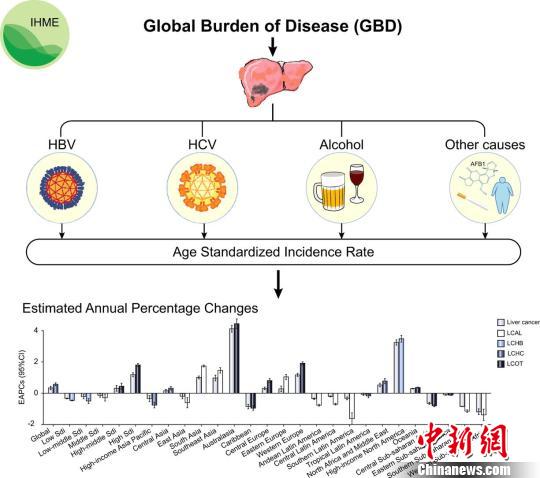 中國學者率先系統解析全球不同地區肝癌發病模式