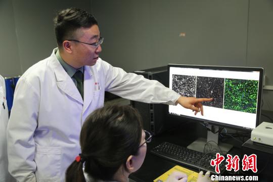 中國科學家揭開何首烏導致肝損傷之謎