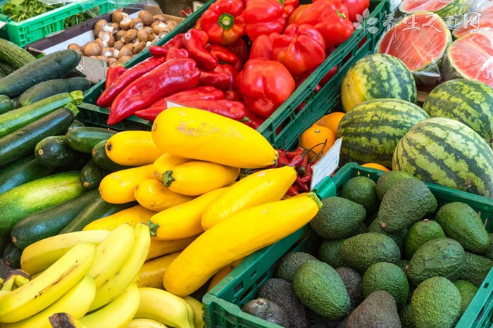 在胃中膨脹的飲食膠囊 吃什么食物對胃好