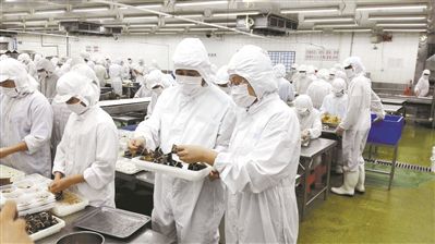 粽子放心吃抽檢都合格購買散裝粽子有講究