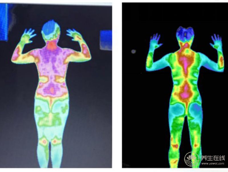 健康本源探秘！李麗莎博士匠心筑夢大健康產(chǎn)業(yè)！