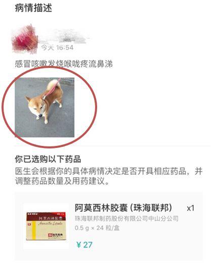 寵物照片充當處方竟能網購處方藥