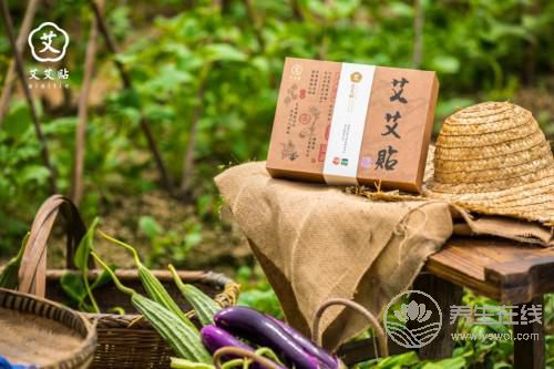 艾艾貼艾灸器：知名養生節目都在講它，連《向往的生活》里都有它