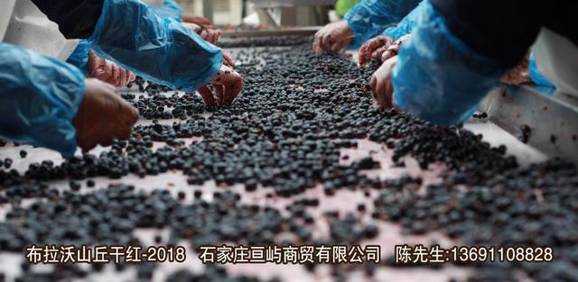 葡萄酒怎么醒酒？手把手教你醒酒—布拉沃山丘干紅葡萄酒-2018