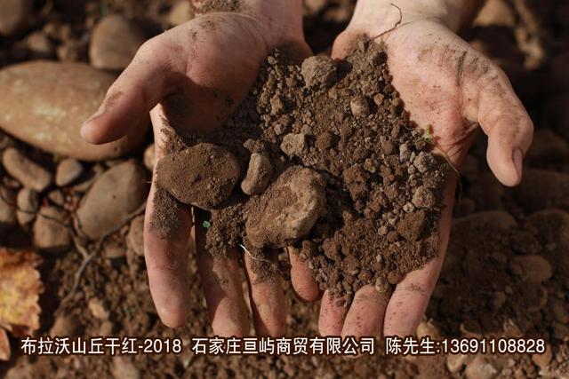 葡萄酒怎么醒酒？手把手教你醒酒—布拉沃山丘干紅葡萄酒-2018