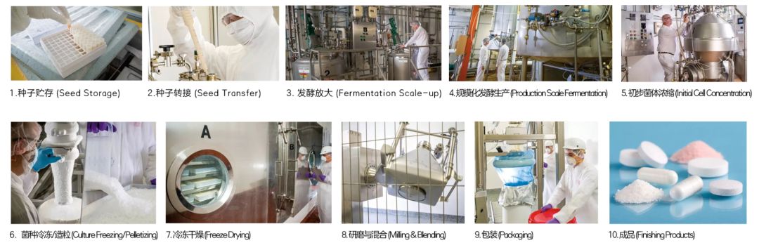 不用煲湯吞海參，這個提高免疫力的法子一學就會