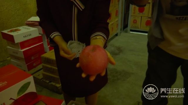 天價蘋果幕后，竟然是這一群人在幕后推手