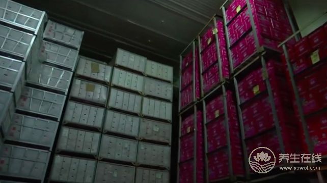 天價蘋果幕后，竟然是這一群人在幕后推手