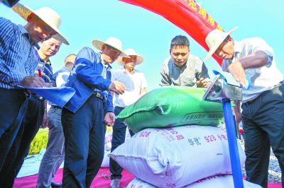 1046.3公斤！袁隆平第三代雜交水稻測產