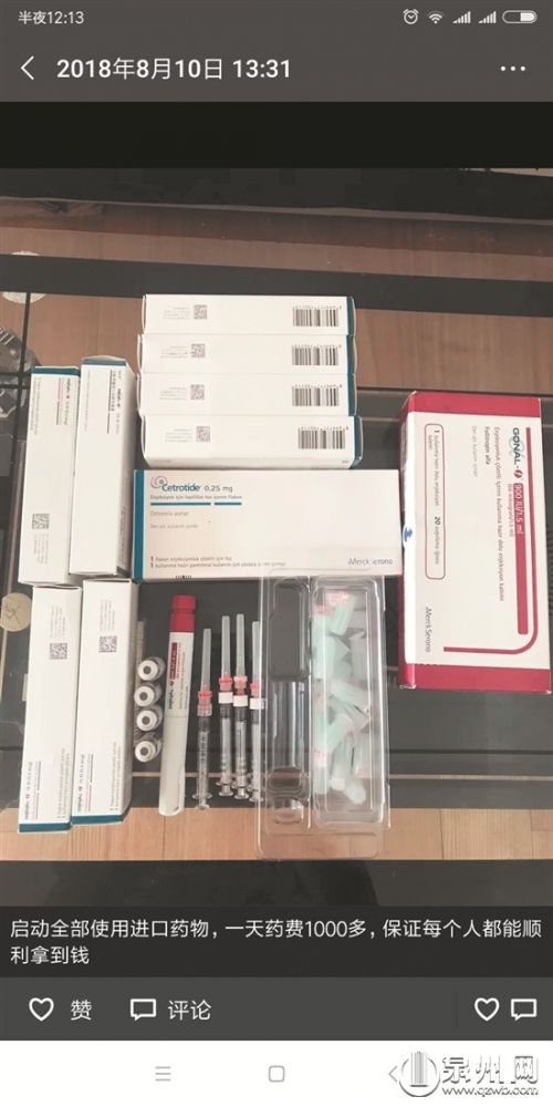 起底卵子黑市：按顏值學歷明碼標價