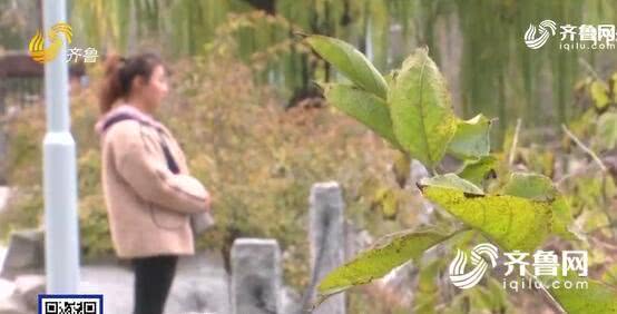 濟南熙美人整形醫(yī)院把人鼻子嗅覺給整沒了?醫(yī)院:需第三方鑒定-易網(wǎng)健康<a href=http://www.gyfww.com/jkys/ target=_blank class=infotextkey>養(yǎng)生</a>網(wǎng) 濟南熙美人整形醫(yī)院把人鼻子嗅覺給整沒了?醫(yī)院:需第三方鑒定