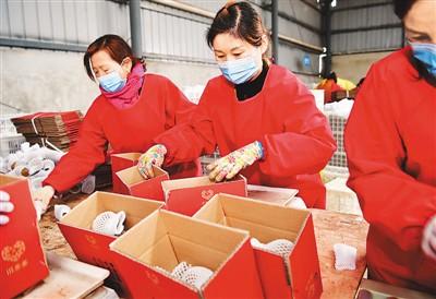 一季度全國農(nóng)產(chǎn)品電商直播超過400萬場