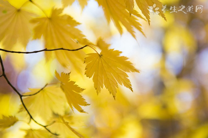 摩天輪變大風(fēng)車(chē) 遭遇臺(tái)風(fēng)怎么辦