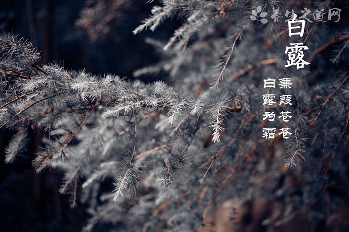 深圳特大暴雨 暴雨天氣怎么辦