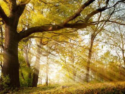 剛開學就放高溫假 高溫天氣要注意什么