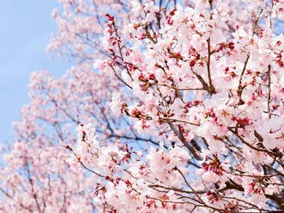北海道大停電 地震的危害有什么